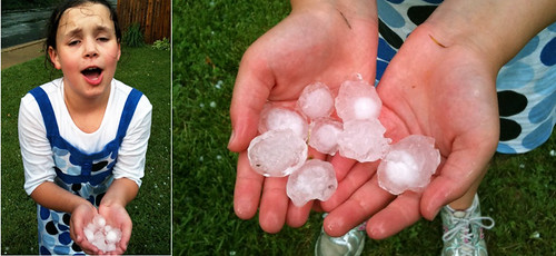 large hail from today's thunderstorm
